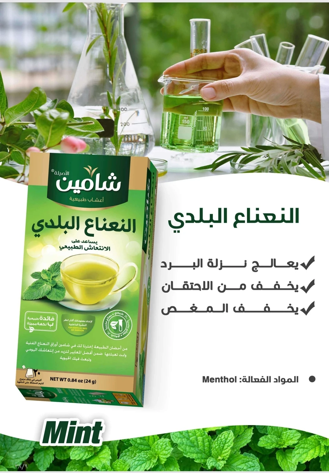 Shamin Baladi Mint