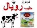 Carton of Royal Milk-Style Drink (48 packs)