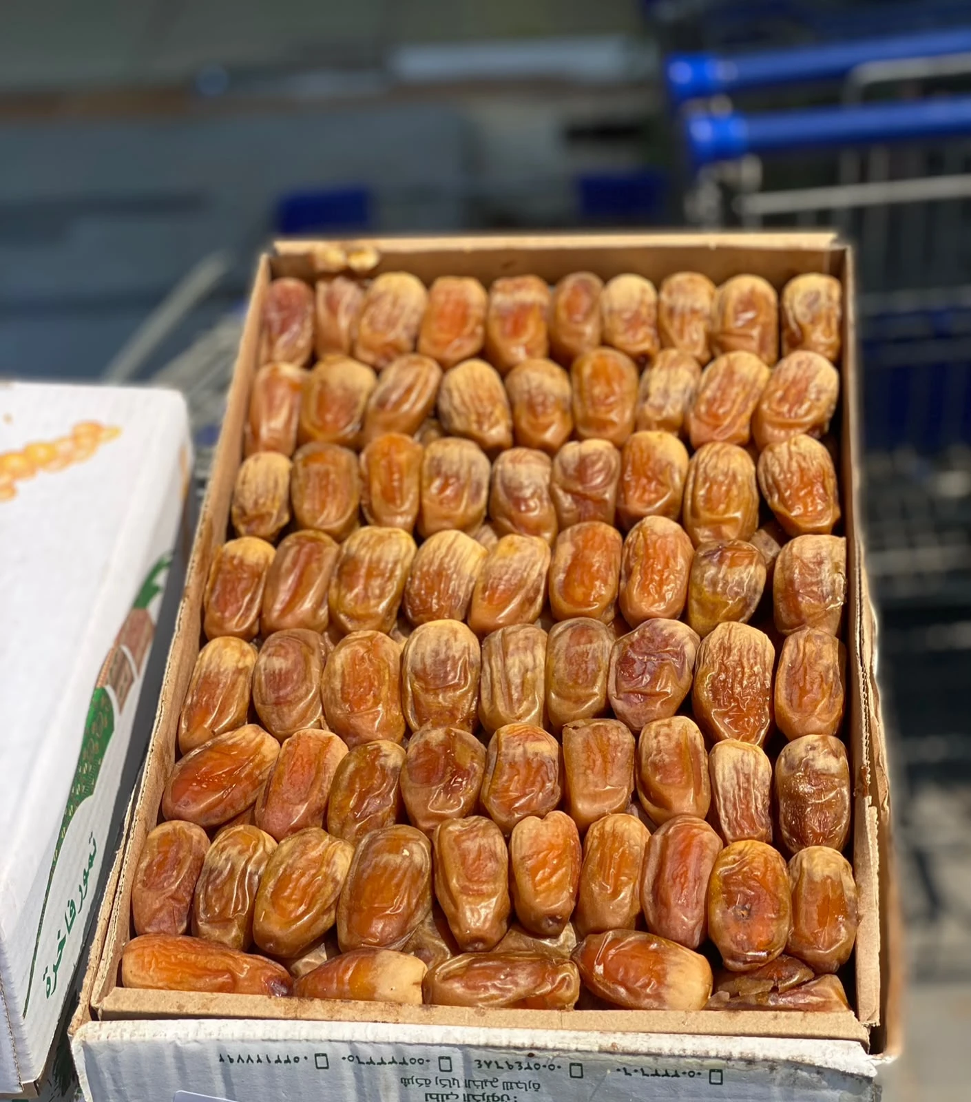 Premium Sagai Dates – 3 kg Carton